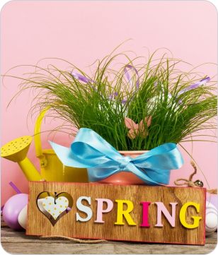 Spring Decorations